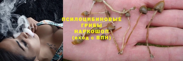 не бодяженный Магас
